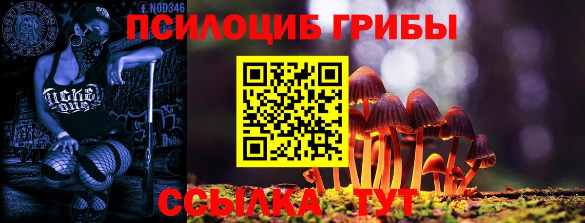 Псилоцибиновые грибы мицелий Ноябрьск